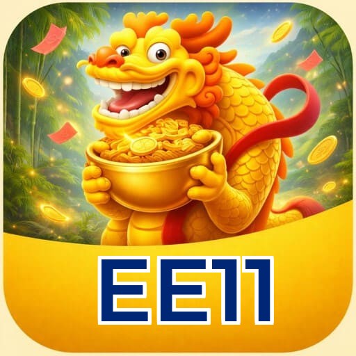 Termos e Condições Transparentes EE11